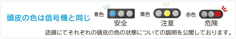 頭皮の色は信号機と同じ