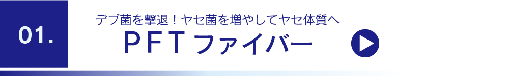 PFTファイバー