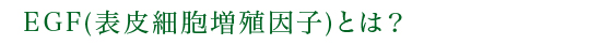 EGF(表皮細胞増殖因子)とは?