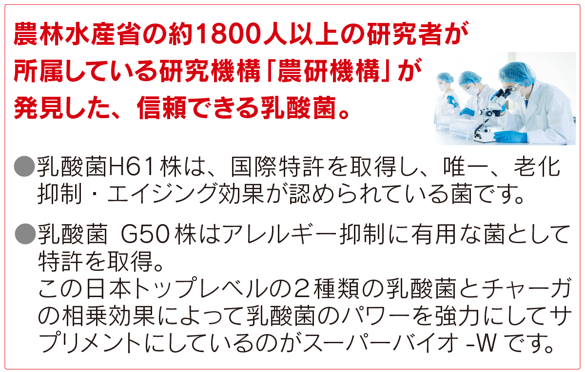スーパーバイオW