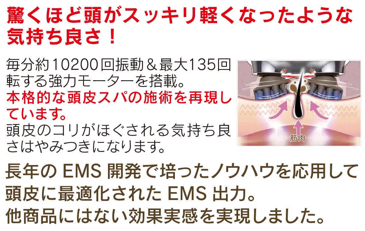 ゾーガンキン