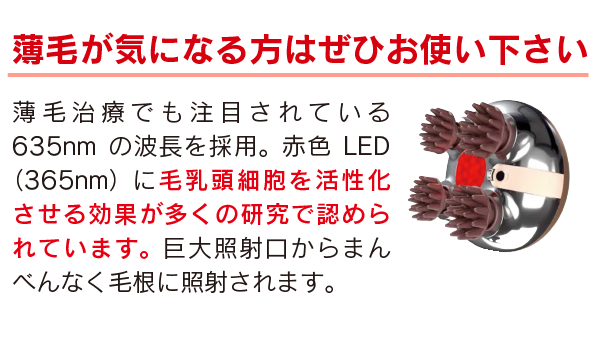 ゾーガンキン