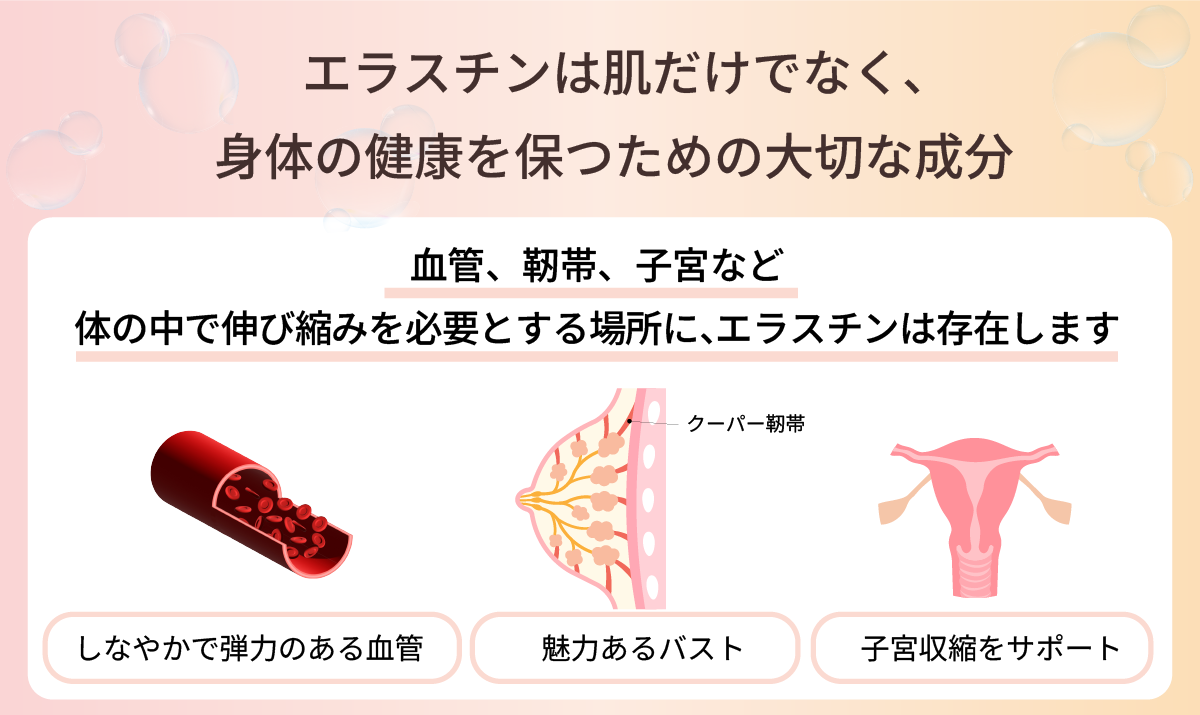 東京・吉祥寺・マリスローレン・世界最高スペック・スーパーエラスチンプラス