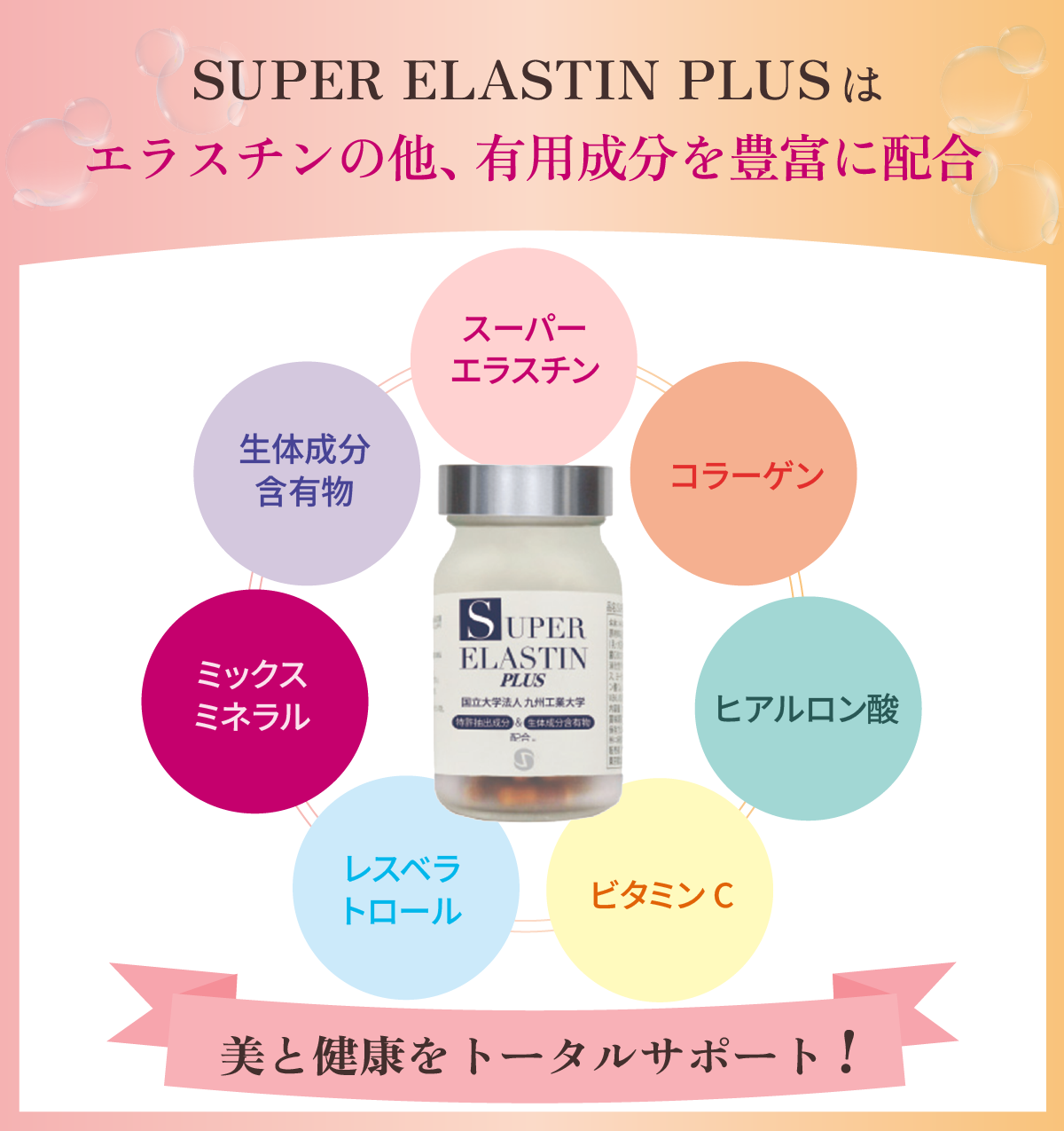 東京・吉祥寺・マリスローレン・世界最高スペック・スーパーエラスチンプラス