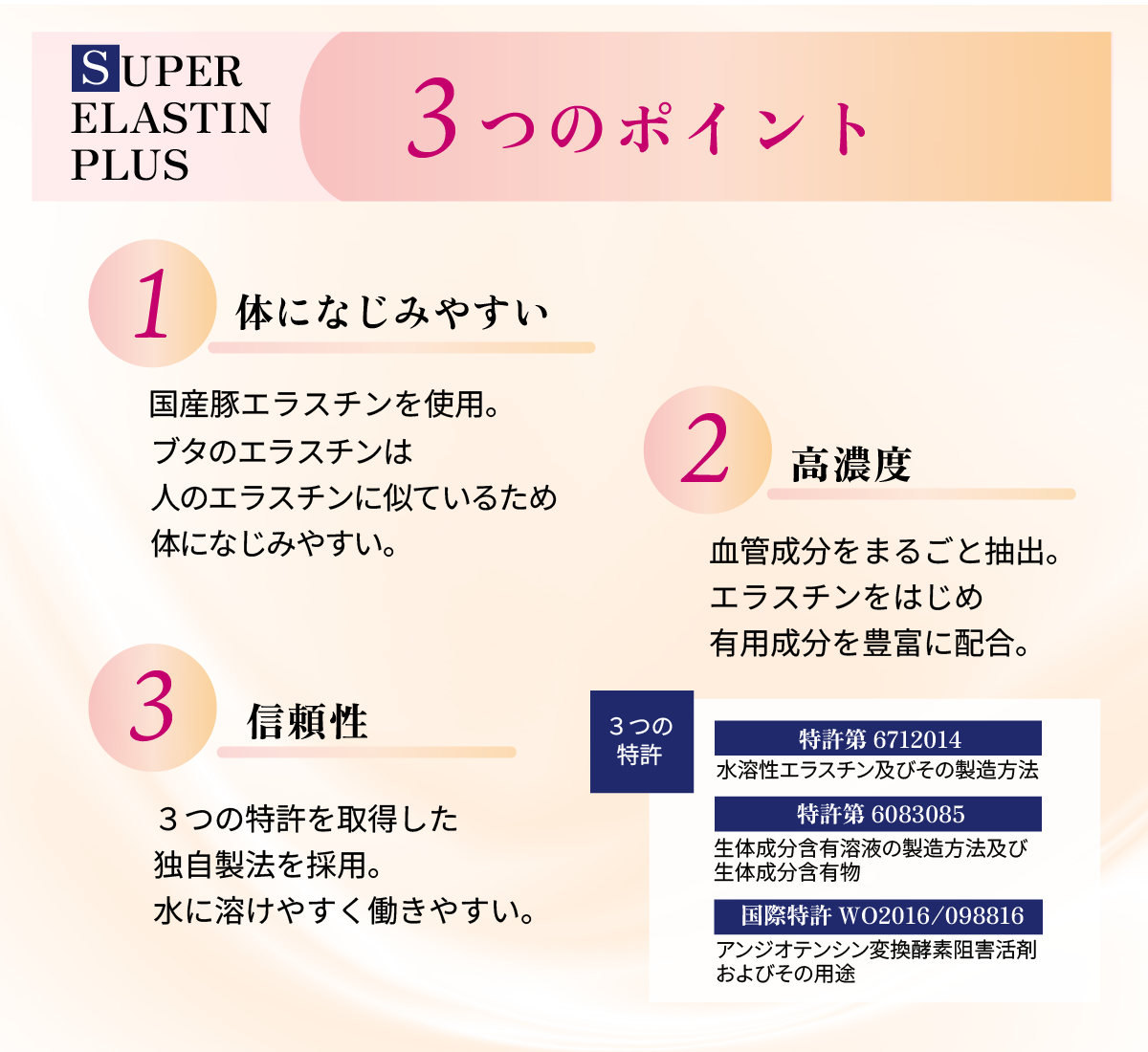 東京・吉祥寺・マリスローレン・世界最高スペック・スーパーエラスチンプラス