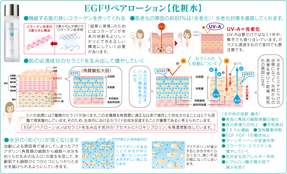EGFリペアローション