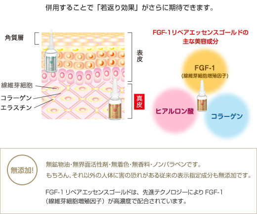 併用することで「若返り効果」がさらに期待できます。