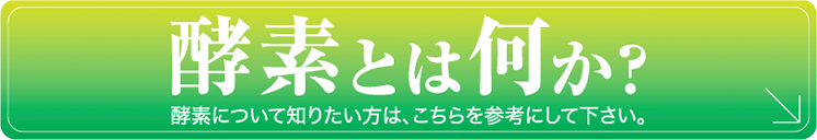 酵素とは何か？